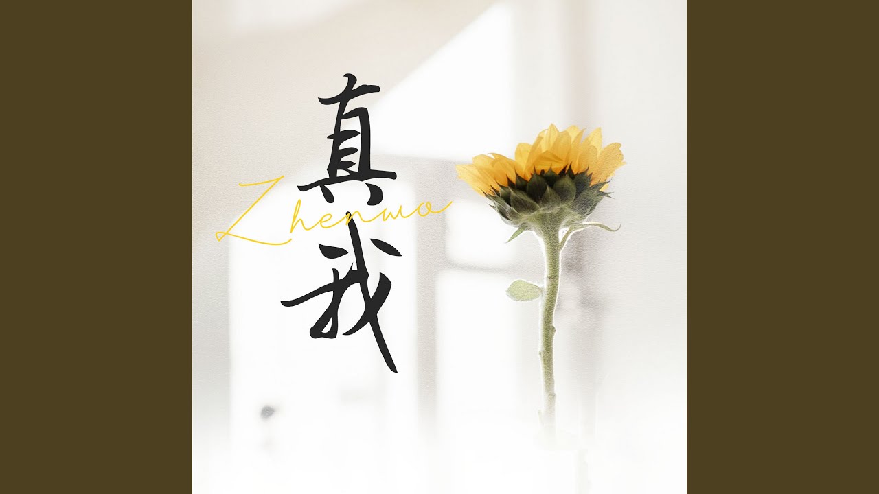 時空藝?yán)绕嬗觯航獯a譚卓個人資料長相超美背后的熒幕魅力