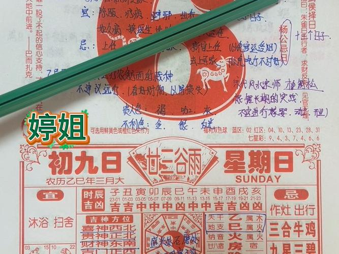 精準(zhǔn)獲?。?025白小姐開獎(jiǎng)結(jié)果查詢?nèi)ヂ耘c權(quán)威解讀