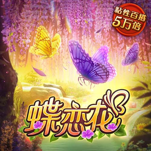 白小姐管家婆四肖八碼：深度解析其信息流與用戶關注焦點