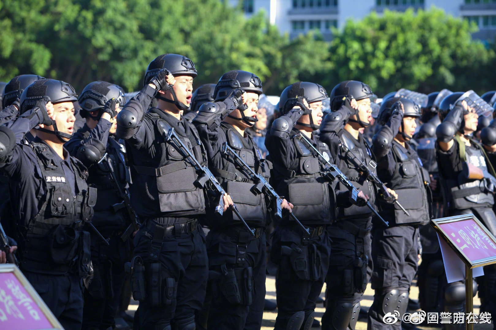 夜幕下的對話:探秘中國人民武裝警察部隊特種警察學(xué)院難考嗎的真相