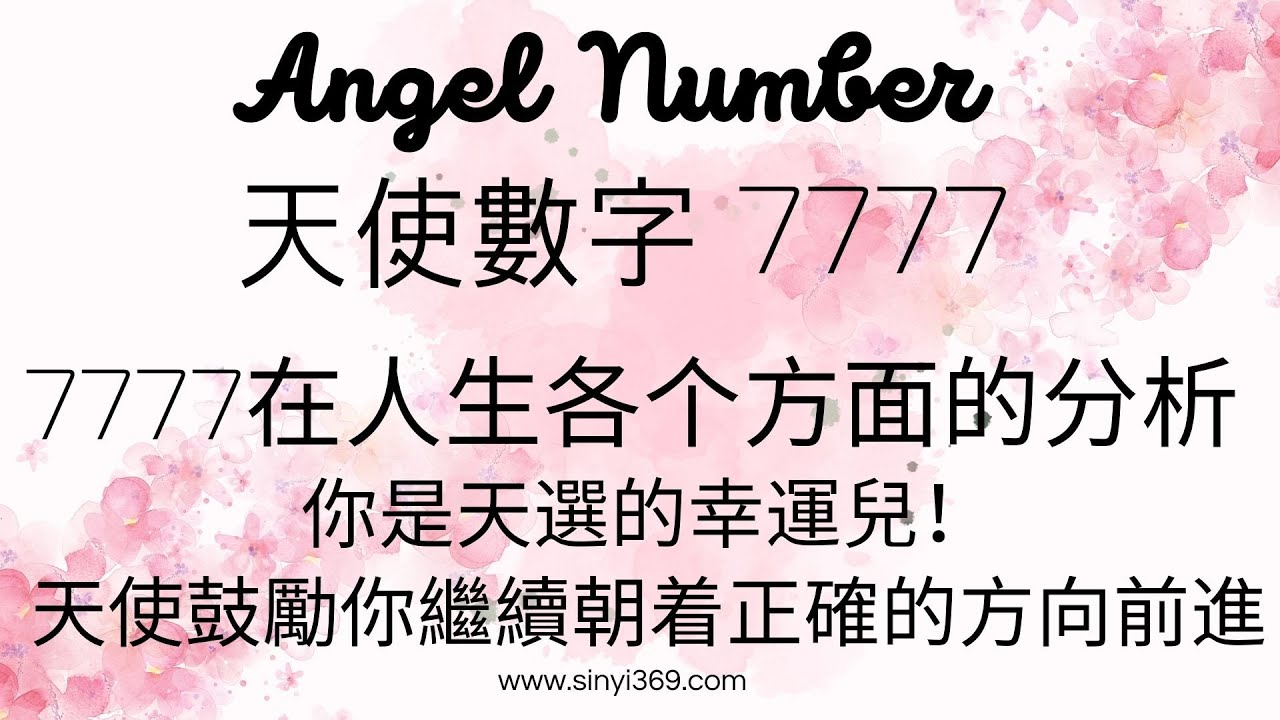 穿越數(shù)字迷霧:對話“7777788888管家婆老家含義”的奇遇解析