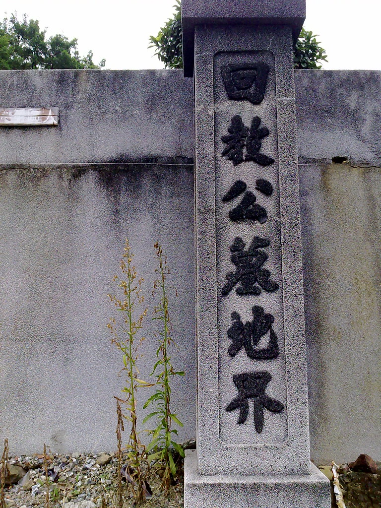 數(shù)字浪潮下的真?zhèn)无q:透視77777788888王中王正版引發(fā)的社會輿論風暴