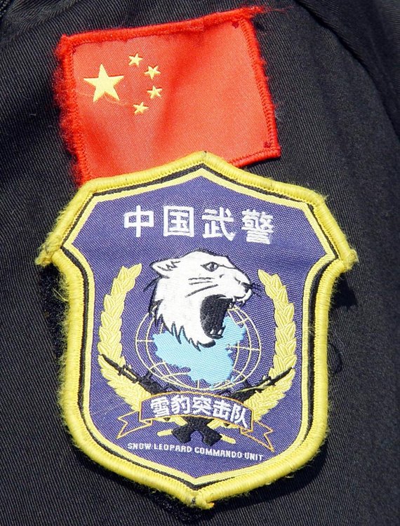 精讀:中國人民武裝警察部隊(duì)特種臂章的象征與榮耀深度解析