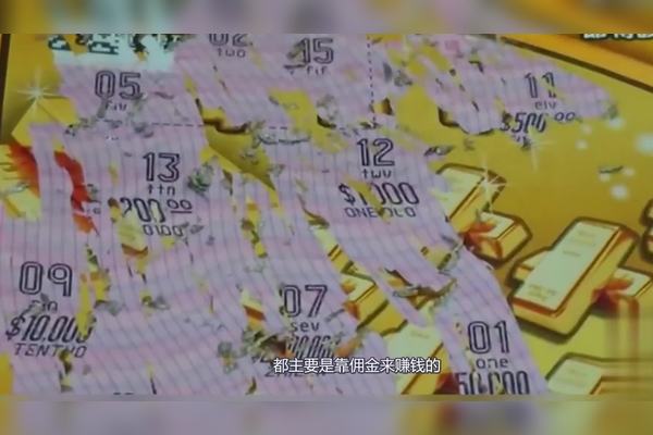 深度解析：白小姐一肖一特一中今天開獎查詢與理性防范全攻略