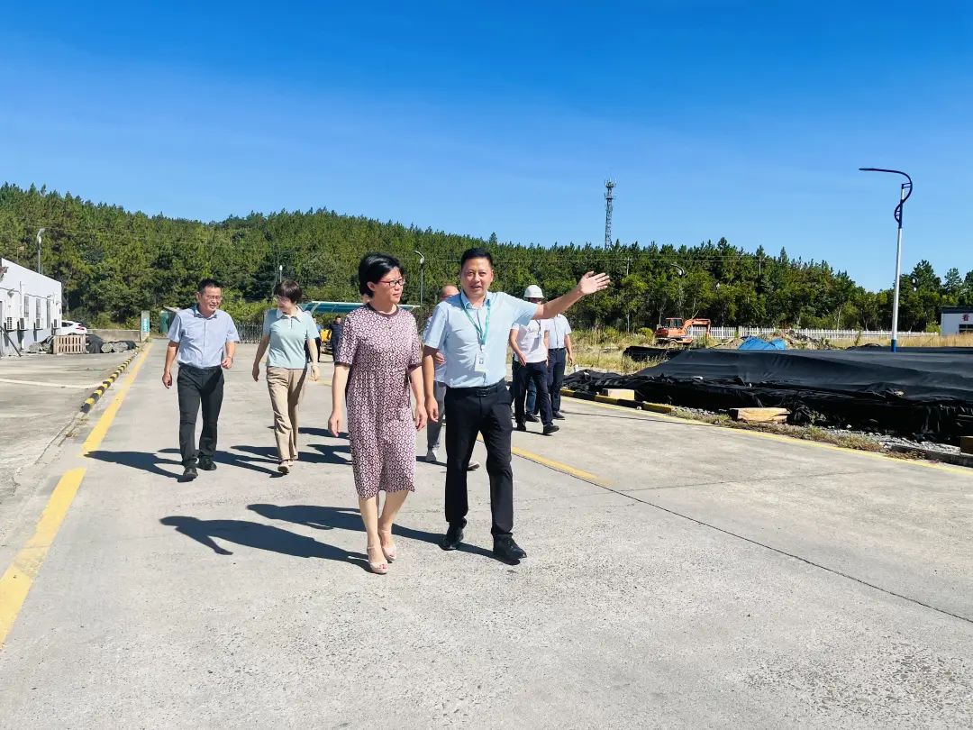 深秋茶館奇遇:解碼“新奧最精免費(fèi)大全管家婆”的未來圖景