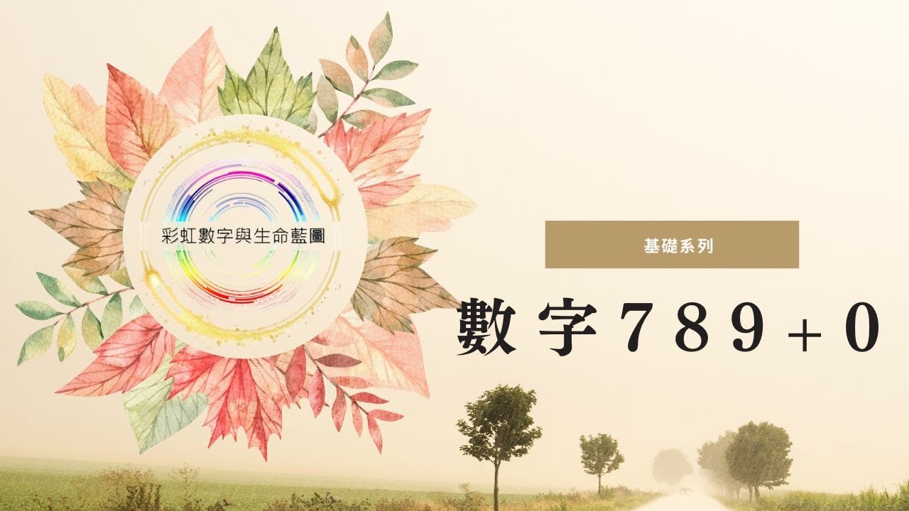 穿越數(shù)字迷霧:對話“7777788888管家婆老家含義”的奇遇解析