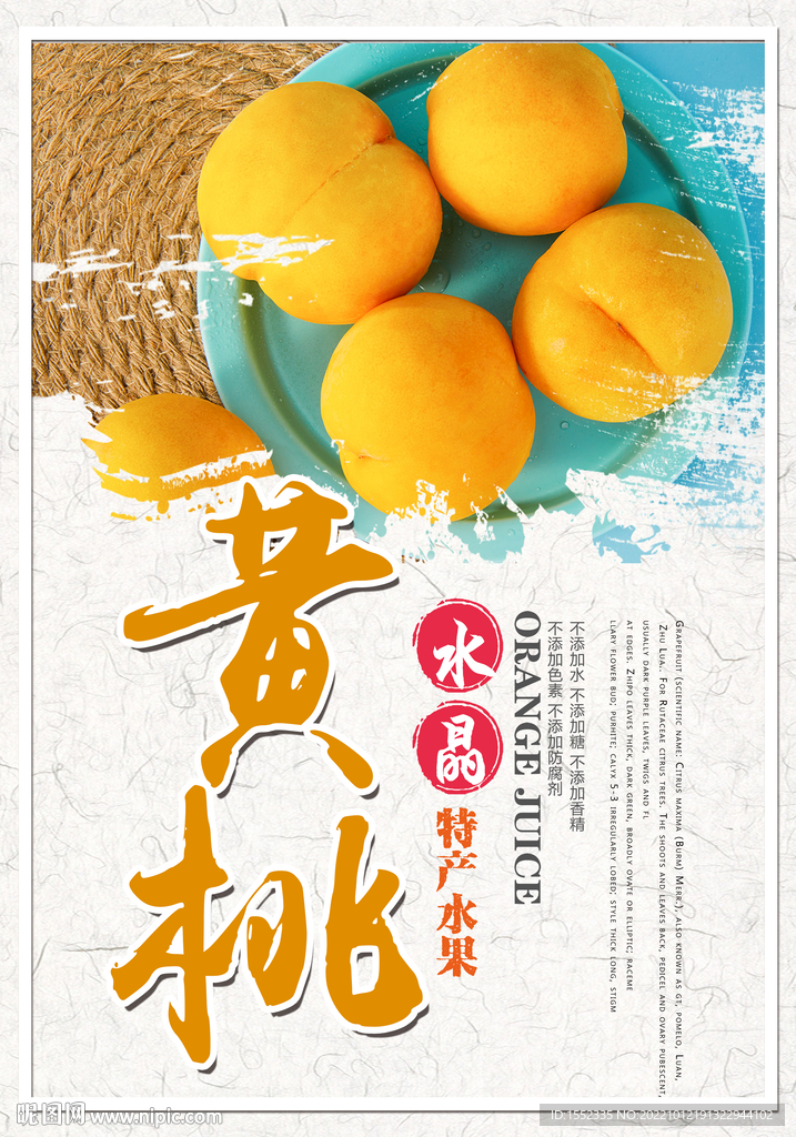 黃玲玲個(gè)人簡(jiǎn)歷的探秘之旅:一場(chǎng)跨越時(shí)空的職場(chǎng)對(duì)話