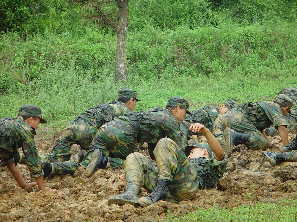 中國人民武裝部隊警察部隊內(nèi)衛(wèi)：深度解析其核心職能與國家安全基石