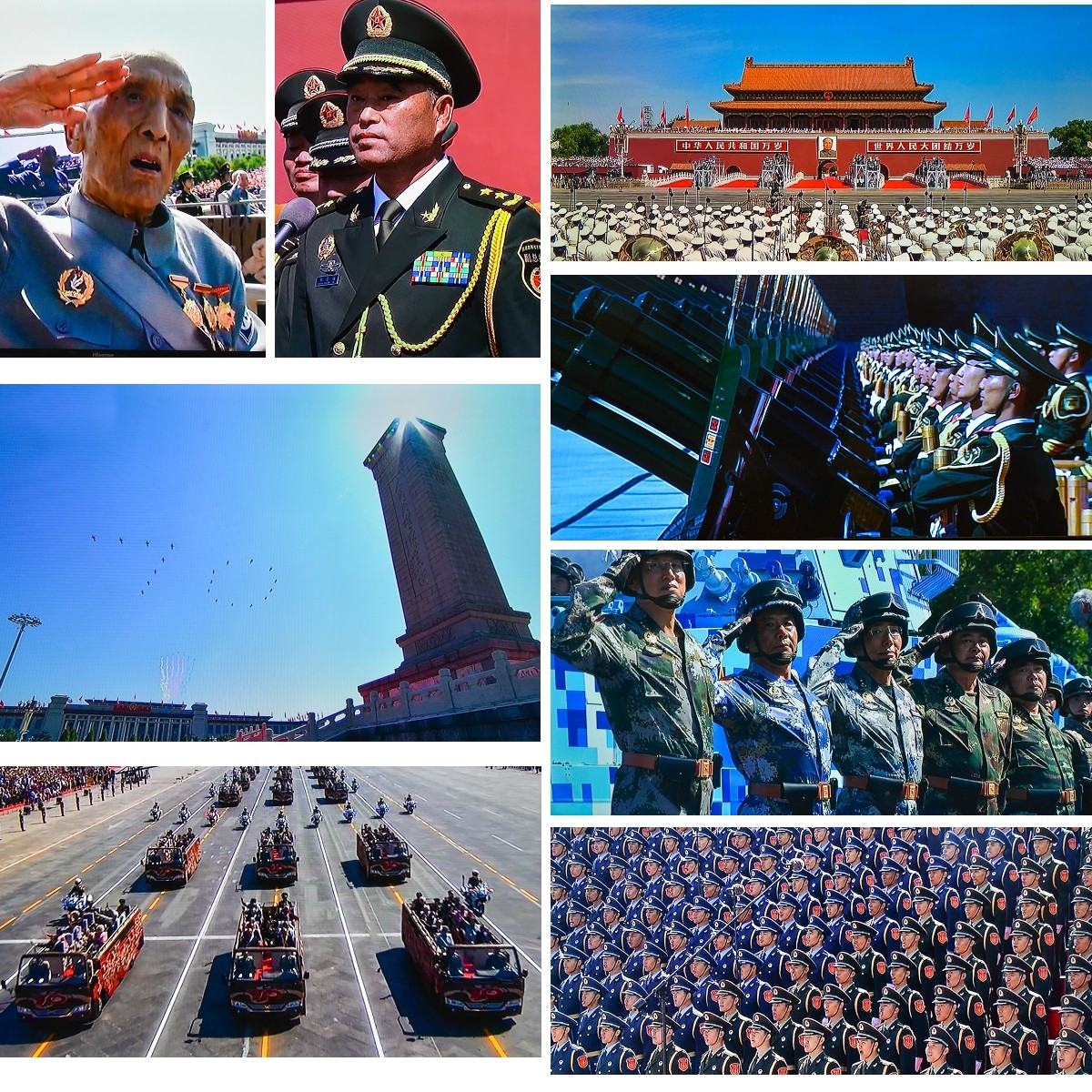 瑪?shù)鹿埠蛧啽鴪D片:深度解析國家象征與軍事風采的全攻略