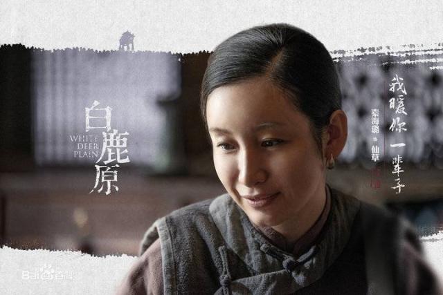 秦海璐演過(guò)哪些電視劇深度解析:盤(pán)點(diǎn)其經(jīng)典代表作與多樣化熒屏形象