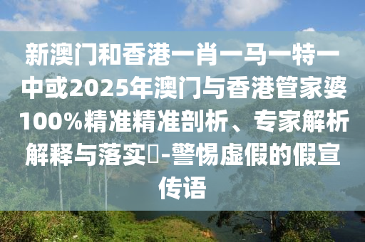 2025新澳門(mén)精準(zhǔn)免費(fèi)大全深度解析:獲取前瞻性數(shù)據(jù)與智慧決策的實(shí)用指南