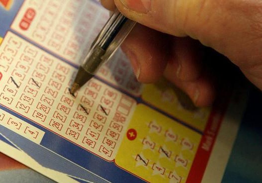 2025新澳天天彩免費大全:理性獲取與價值深度解析