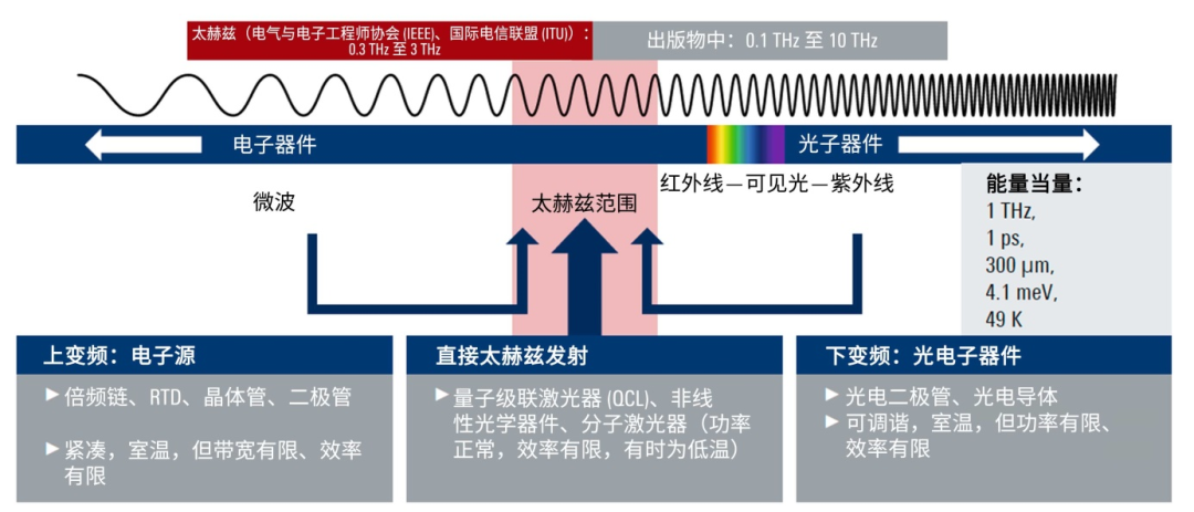 穿梭數(shù)字奇境:新門(mén)內(nèi)部資料大全免費(fèi)查看的虛實(shí)邊境對(duì)話