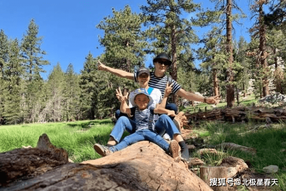 深度解析：探尋保劍鋒的父親是誰(shuí)及其背后的隱私考量
