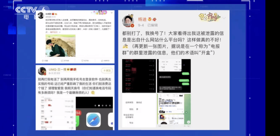 深度解析：趙子琪的爺爺是誰？探究公眾人物家庭信息背后的隱私與求知欲