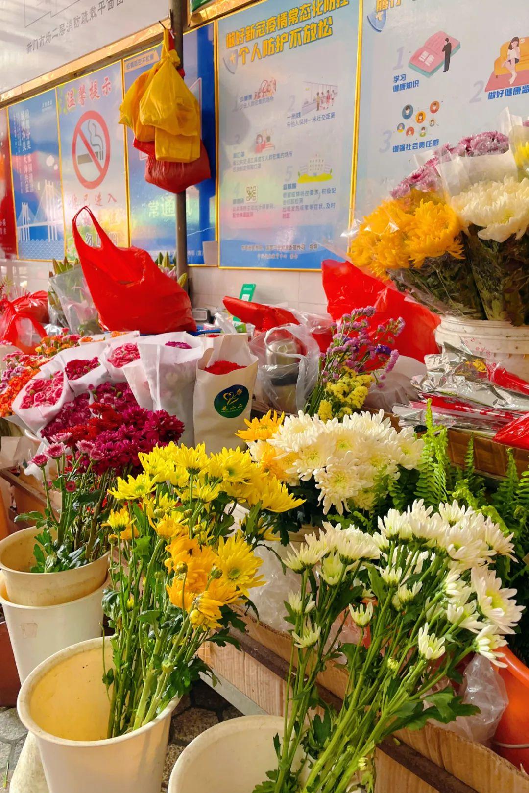 新門內(nèi)部資料最快更新，深度探索與前沿洞察，新門內(nèi)部資料更新速遞，深度探索與前沿洞察揭秘