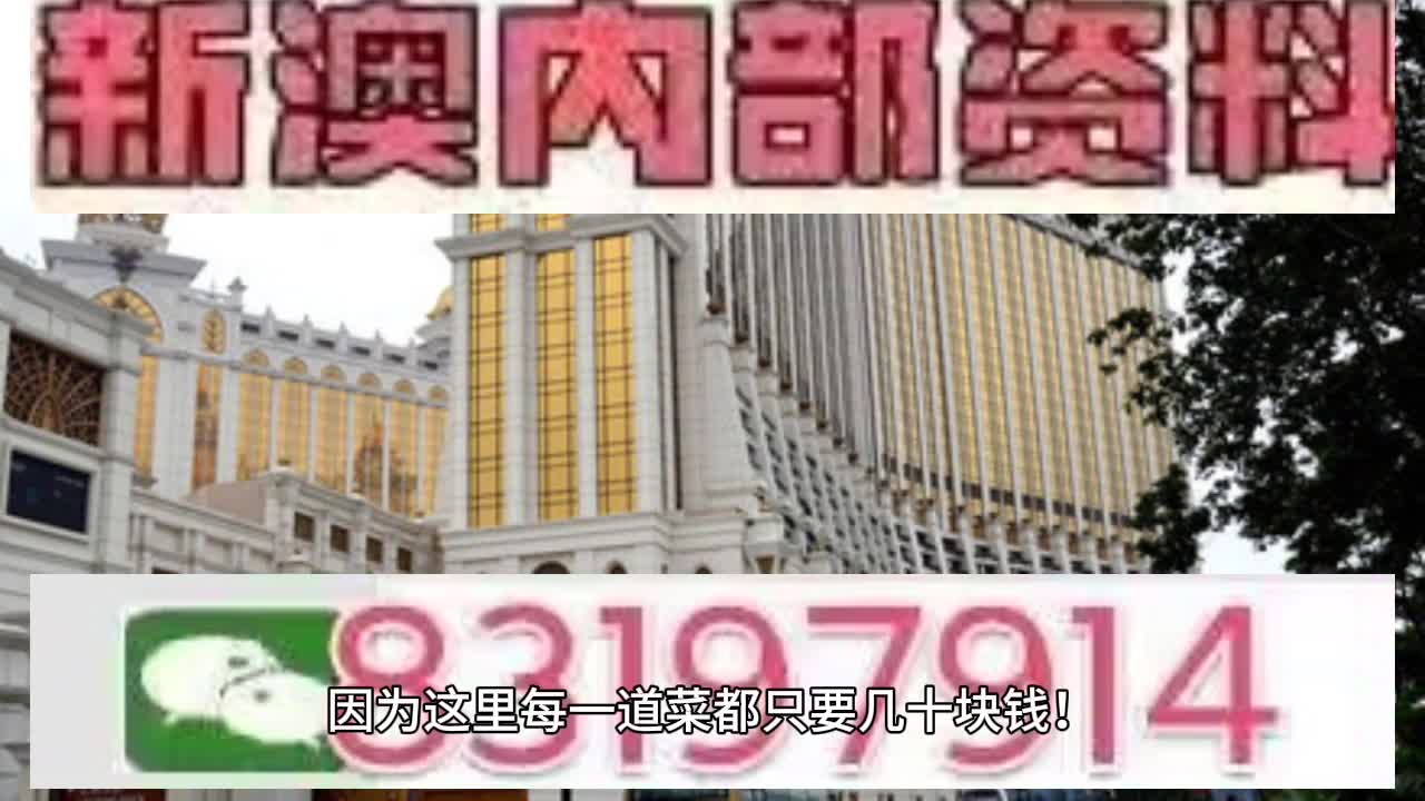 澳門六肖中特馬，探索與解讀，澳門六肖中特馬的探索與解讀指南