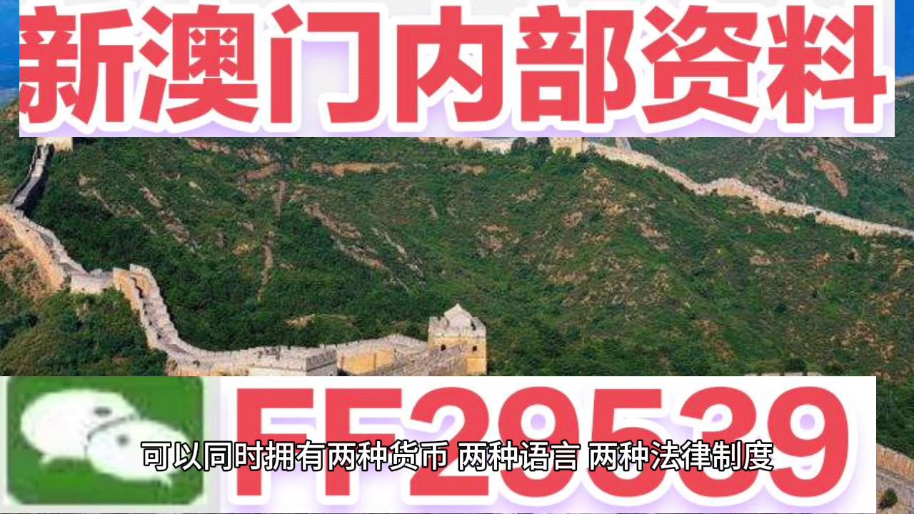 新澳門(mén)今晚開(kāi)獎(jiǎng)結(jié)果號(hào)碼查詢(xún)表，探索彩票世界的神秘面紗，新澳門(mén)今晚開(kāi)獎(jiǎng)結(jié)果號(hào)碼查詢(xún)表，揭開(kāi)彩票世界的神秘面紗