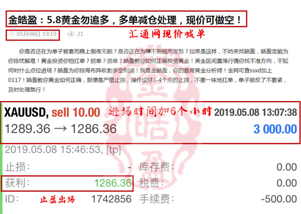 揭秘彩票背后的秘密，精準四肖的奧秘與探索，揭秘彩票背后的秘密，精準四肖奧秘大揭秘！