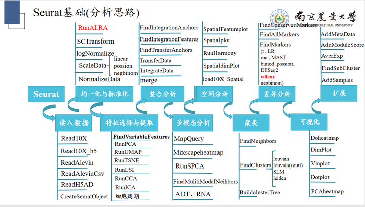新奧天天免費資料單雙:揭秘免費資料獲取全攻略與風(fēng)險規(guī)避